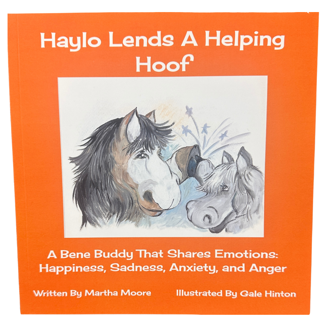 Haylo the Horse Storybook